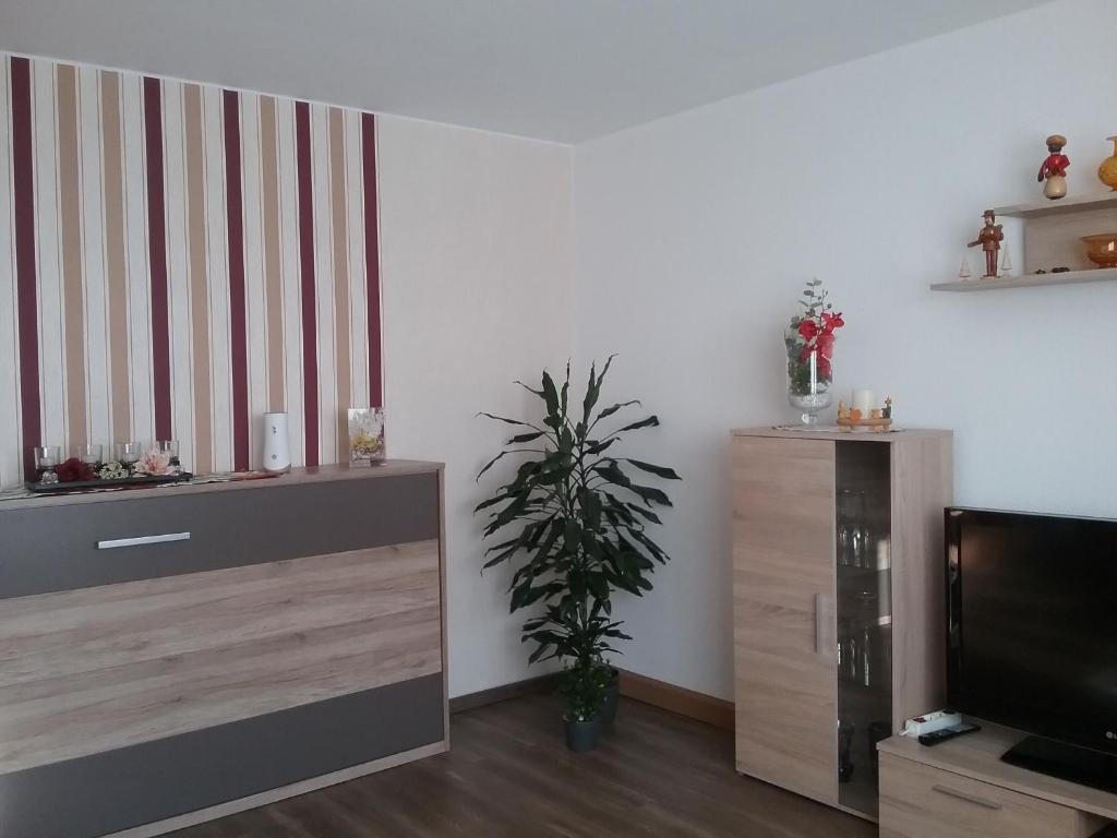 TV a/nebo společenská místnost v ubytování Ferienwohnung Einenkel