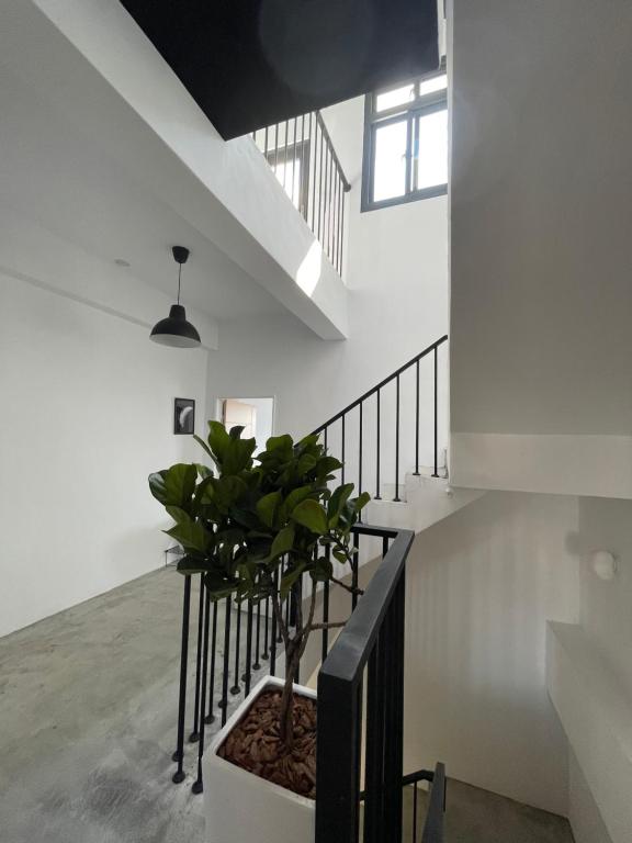 una scala con una pianta in vaso in una stanza bianca di Love Vacation Pourquoi pas a Città di Hualien