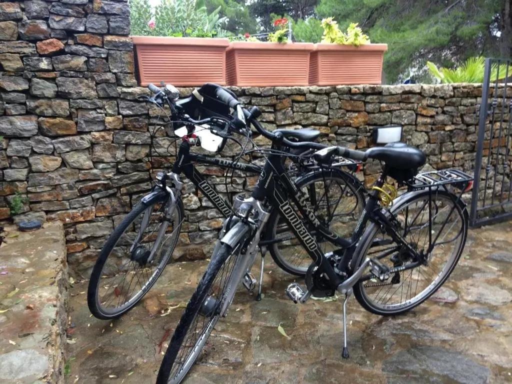 Jazda na bicykli v okolí ubytovania Terra Sinus Beautiful Suite