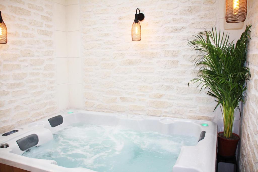 L'Atelier - Gîte & Spa في إيبيرني: حوض استحمام أبيض في حمام به نبات