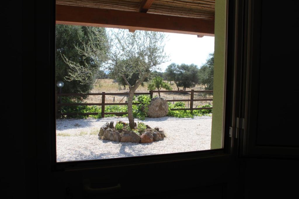 Agriturismo Pira Pinta - Double Or Twin Room