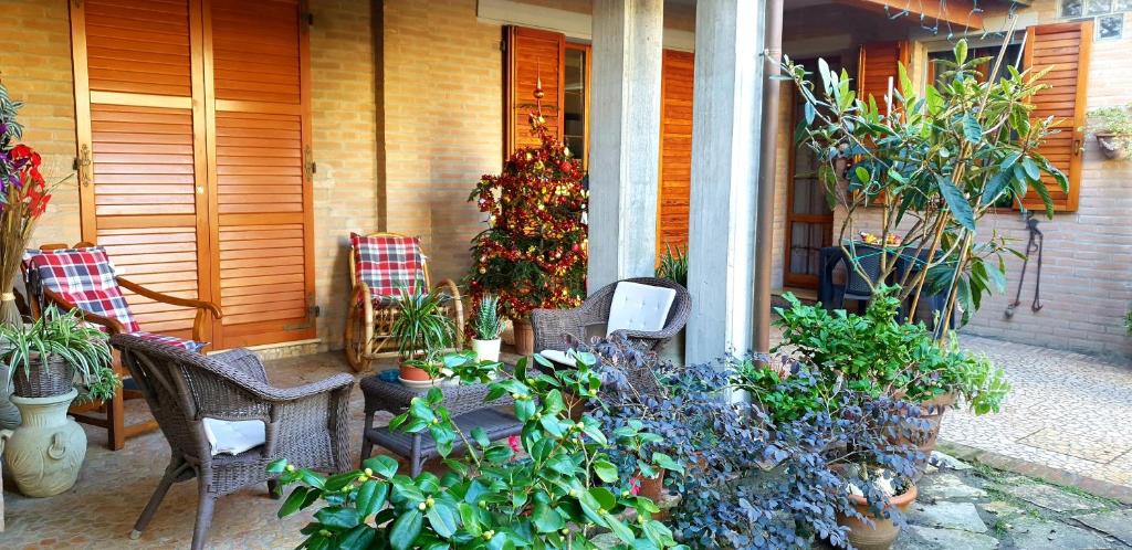 Zahrada ubytování B&B ENSILEVA BEACH