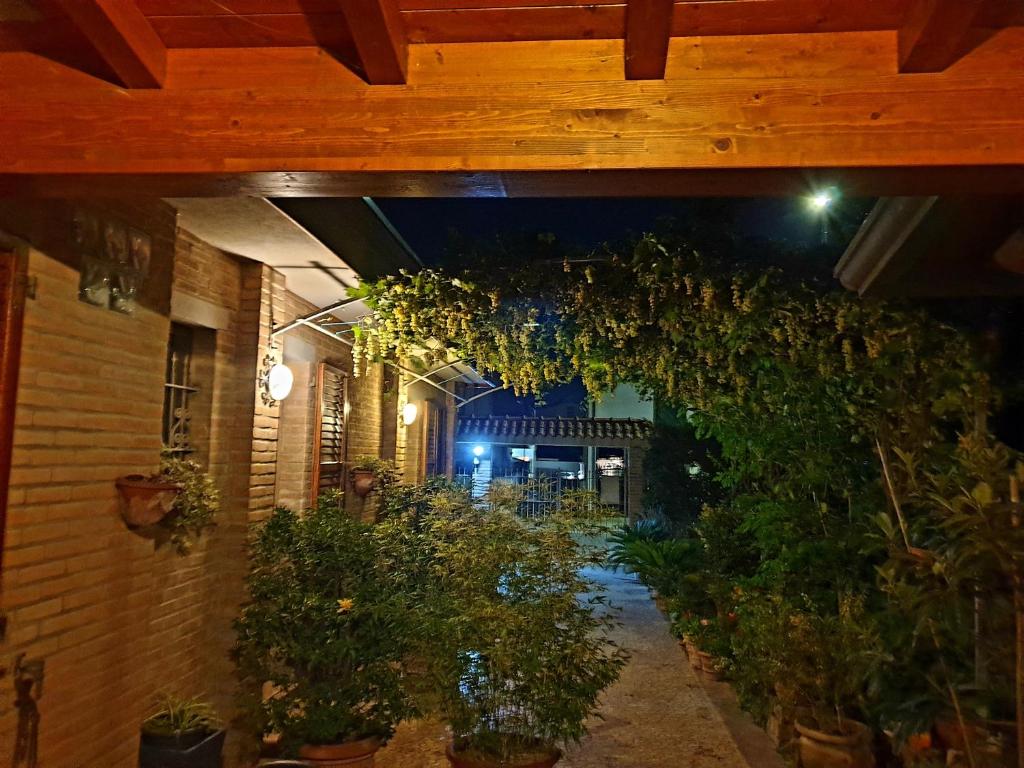Zahrada ubytování B&B ENSILEVA BEACH