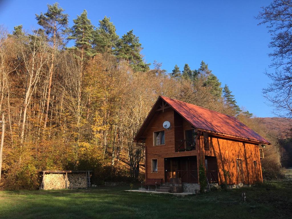 une ancienne maison avec un toit rouge dans un champ dans l'établissement Дом у озера, à Turʼya Paseka