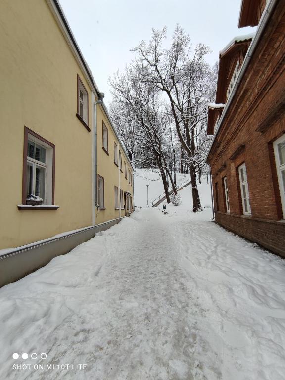 Vallikraavi apartment v zimě