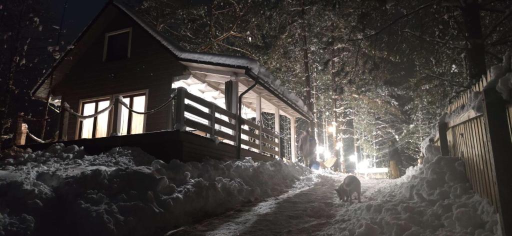 um cão a andar numa rua coberta de neve à noite em Szary domek Zelwa em Zelwa