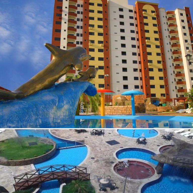  Flat Golden Dolphin Supreme - com Roupas de cama