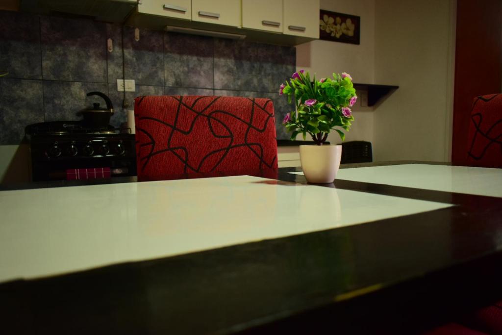 a kitchen with a table and a chair with a plant at Alojamiento Neuquén in Neuquén