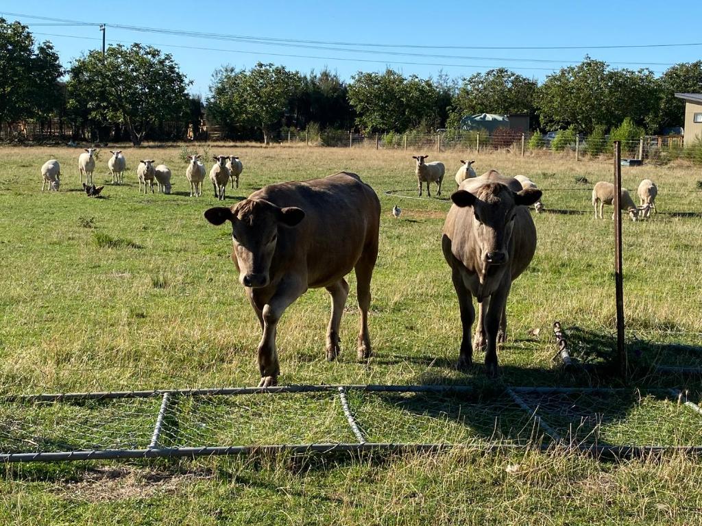 Country Retreats on Ranzau 3 - Resim 17