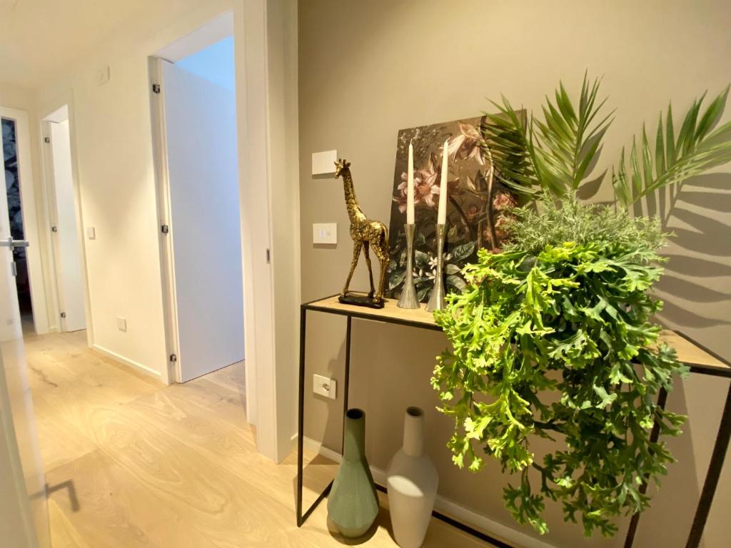 Volto Corte Farina Apartments - 13