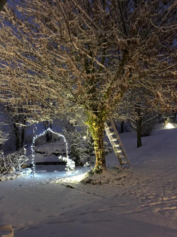 Le Gîte bleu v zimě