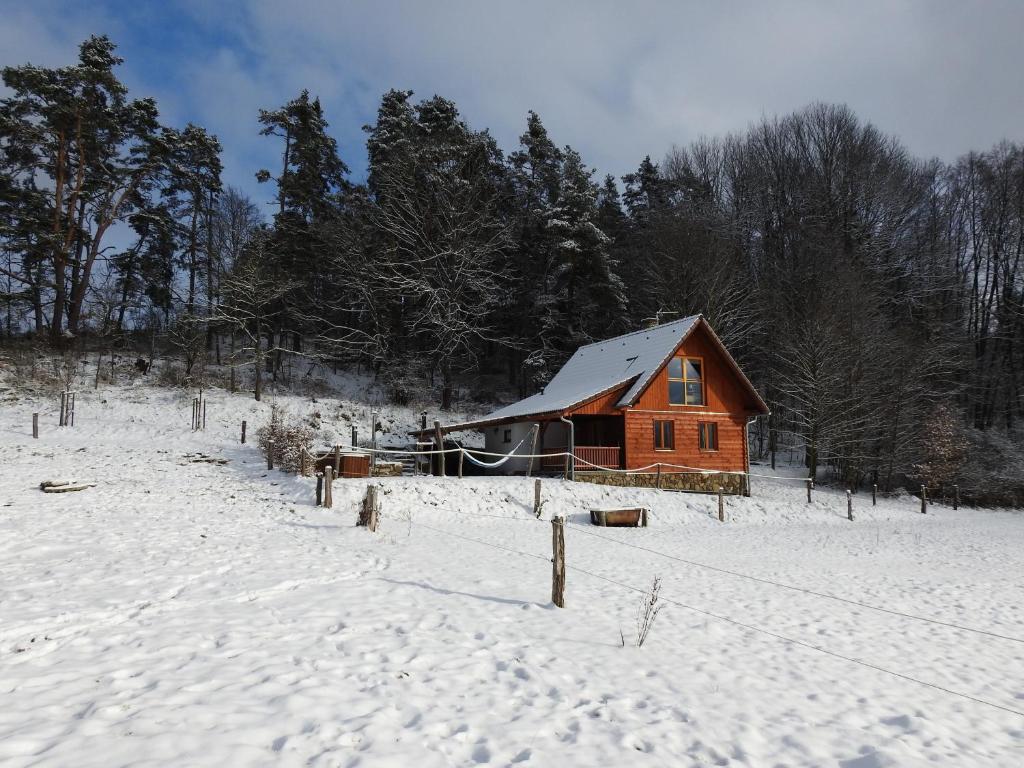 a wooden cabin in a snow covered field with trees at Ubytování Ranč Malenice in Malenitz