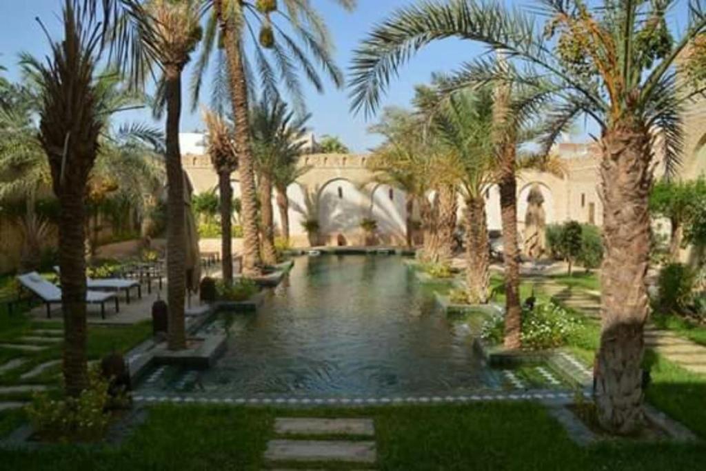 a swimming pool in a courtyard with palm trees at Dar Tozeur in Tozeur