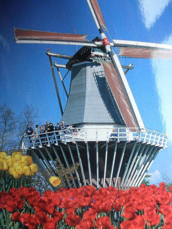 Hotel Orion - Resim 16