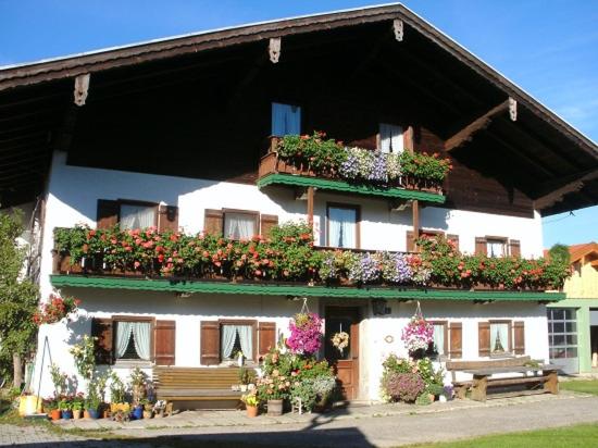 a white building with flower boxes on it at Fembacherhof in Siegsdorf