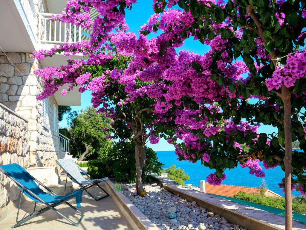 プリズバにあるApartment Martina-1 by Interhomeの紫色の花が咲いた木の下の青い椅子