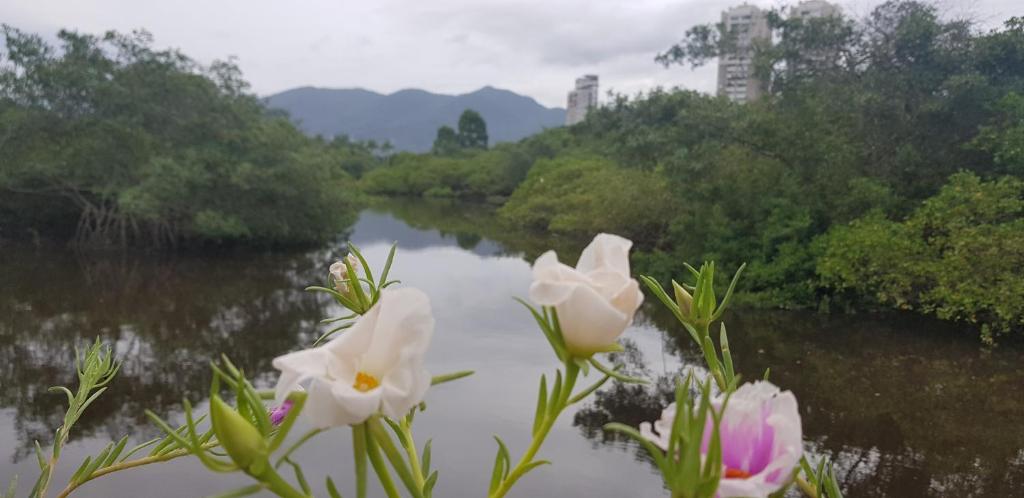  Perequê Paradise com café da manhã