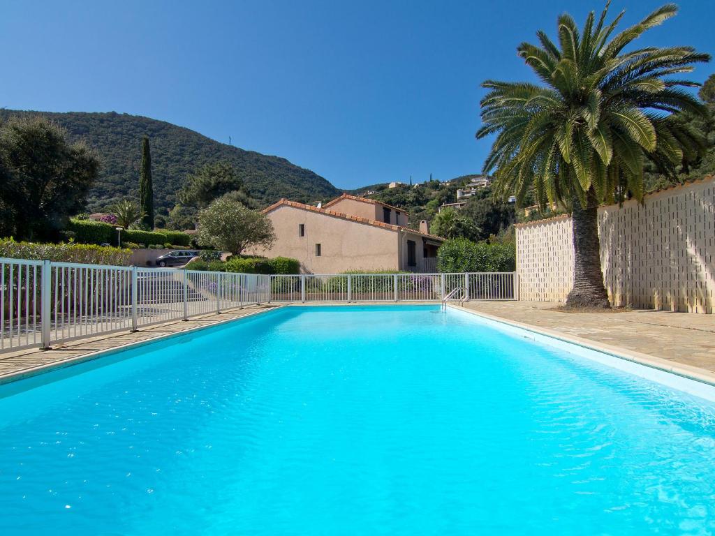 une piscine bleue avec un palmier et une maison dans l'établissement Holiday Home Le Clos du Rigaud-3 by Interhome, à Cavalaire-sur-Mer