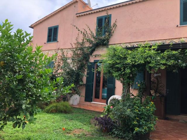 a pink house with a yard with bushes and trees at Casale ristrutturato 3 Km Tropea in Santa Domenica