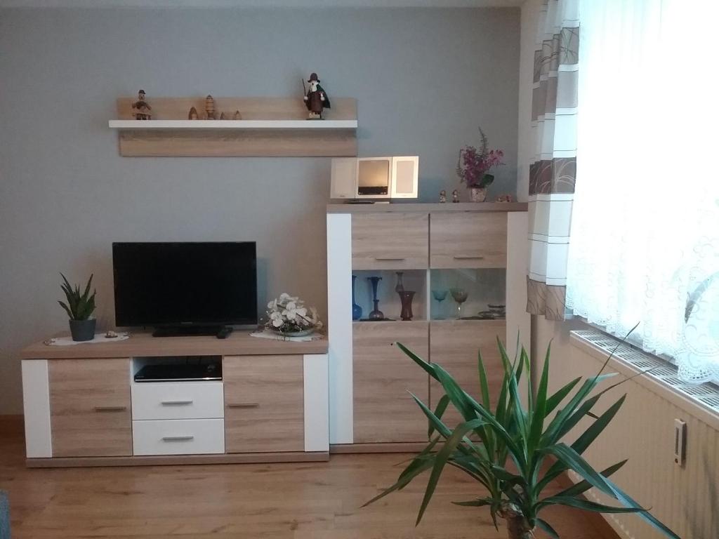 TV a/nebo společenská místnost v ubytování Ferienwohnung Einenkel