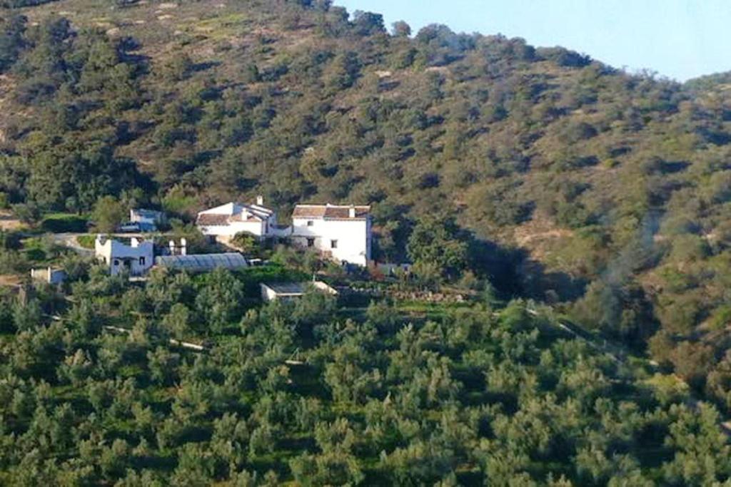 Príroda v okolí vily