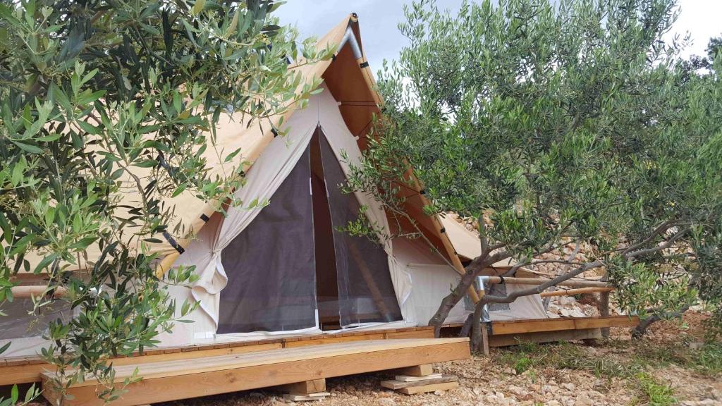 Zahrada ubytování Camping Aloa