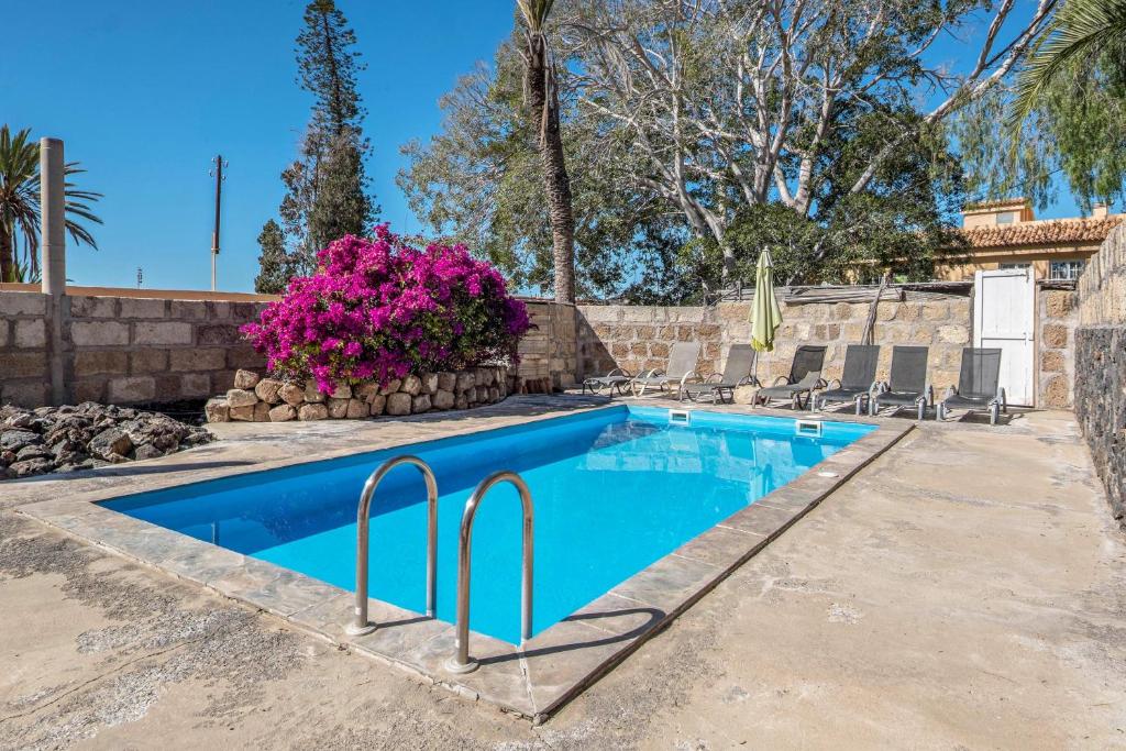 a swimming pool in a yard with purple flowers at La Casita in Adeje