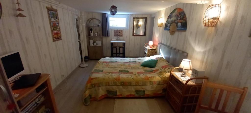 um quarto com uma cama, uma mesa e uma secretária em Croix Montoire em Tours