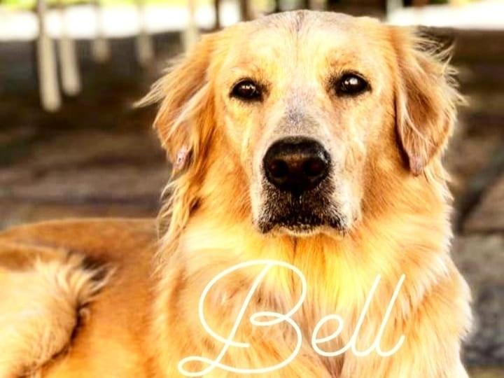  Pousada Da Bell