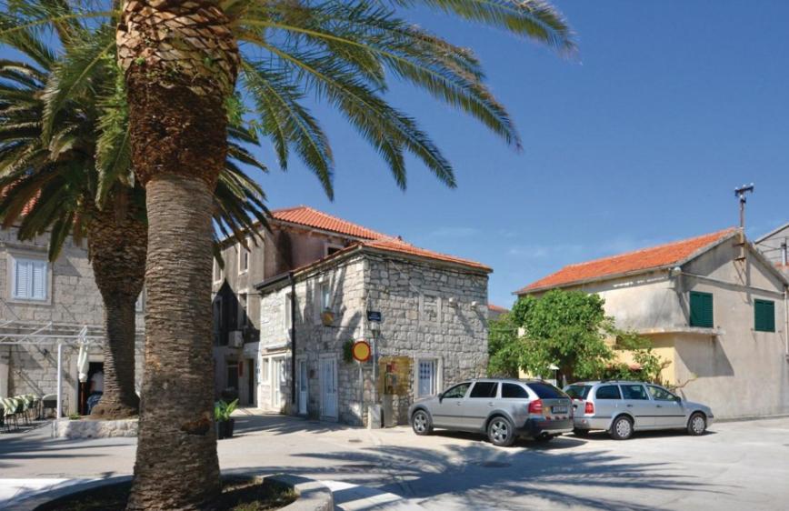 a palm tree and cars parked in a parking lot at Sofia studio apartment Sucuraj in Sućuraj