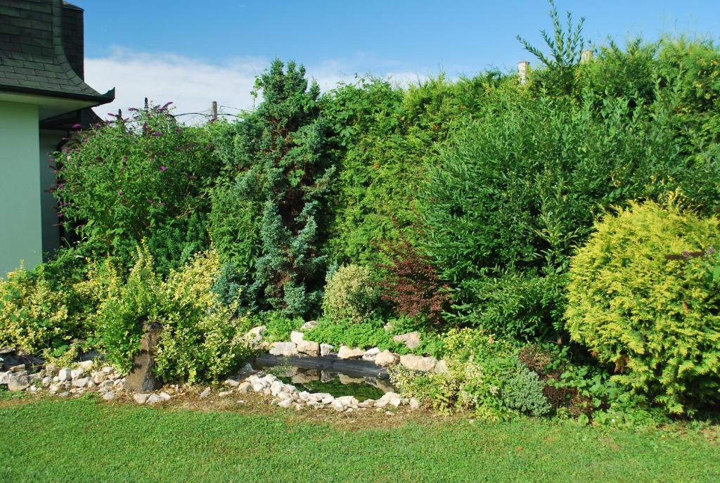 A garden outside Cedar Apartment 4