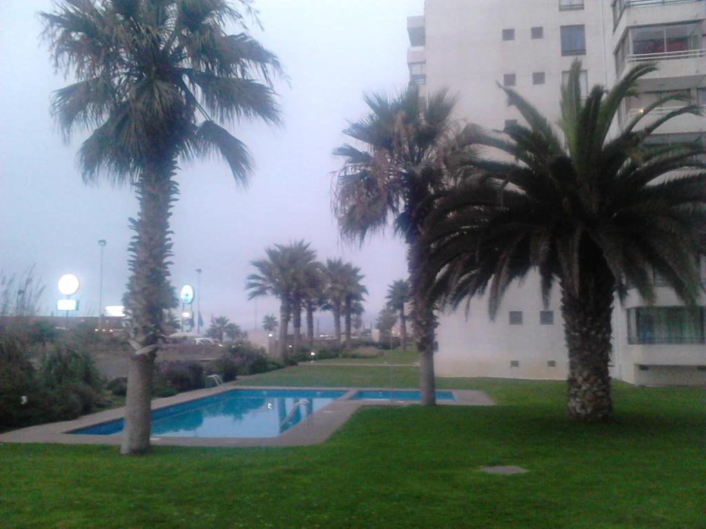 un grupo de palmeras frente a un edificio en Departamento Avenida Del Mar, en La Serena