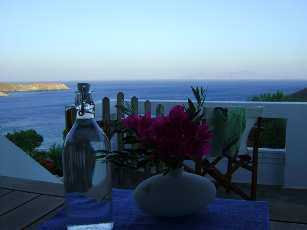 a bottle and a vase with flowers on a table at Chez Semiramis The Sun Touch House for 8 persons 5'min from the beach in Rámos