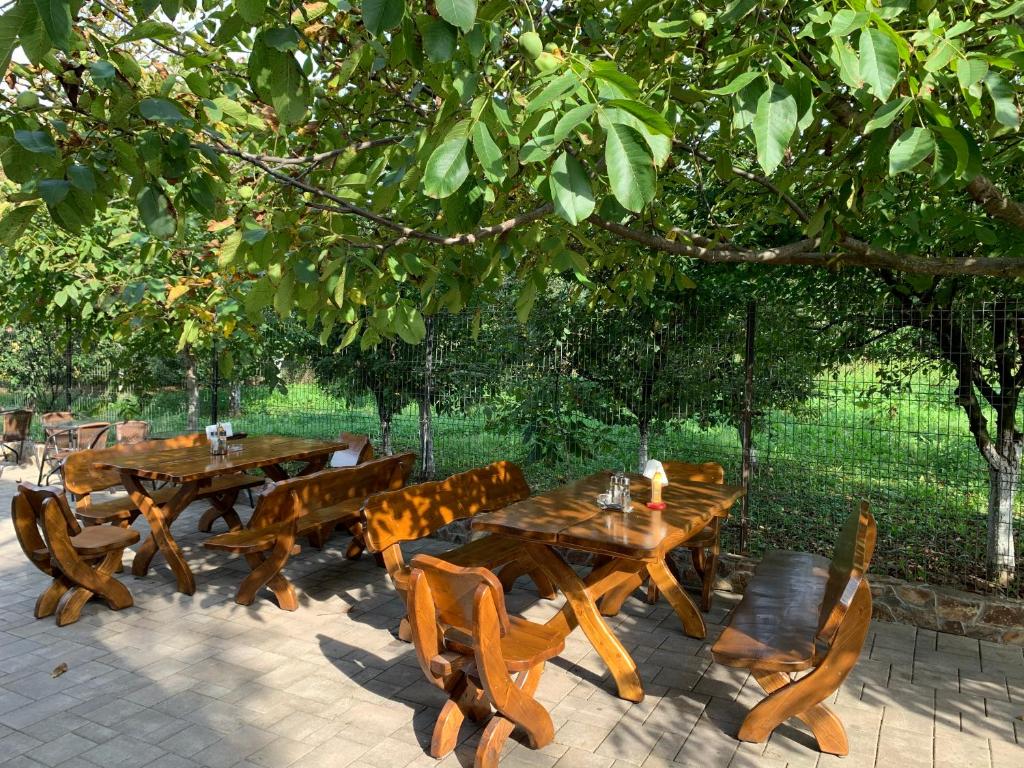 Hanu lui Gica Spa - Resim 36