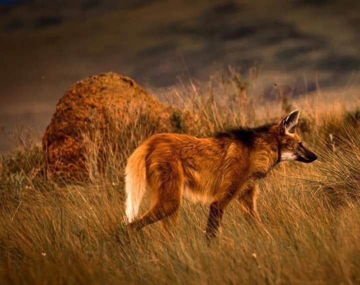  Studio família pontos turísticos