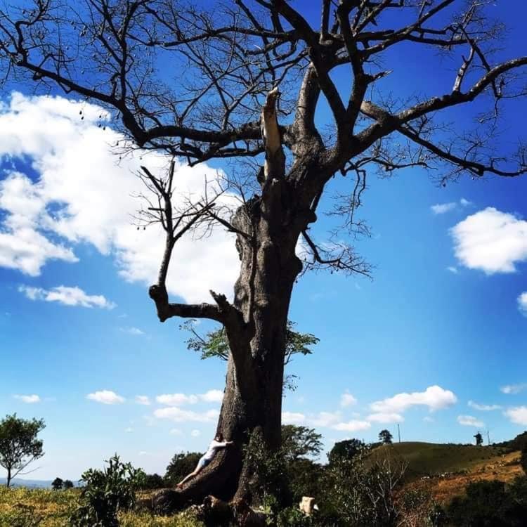  Studio família pontos turísticos