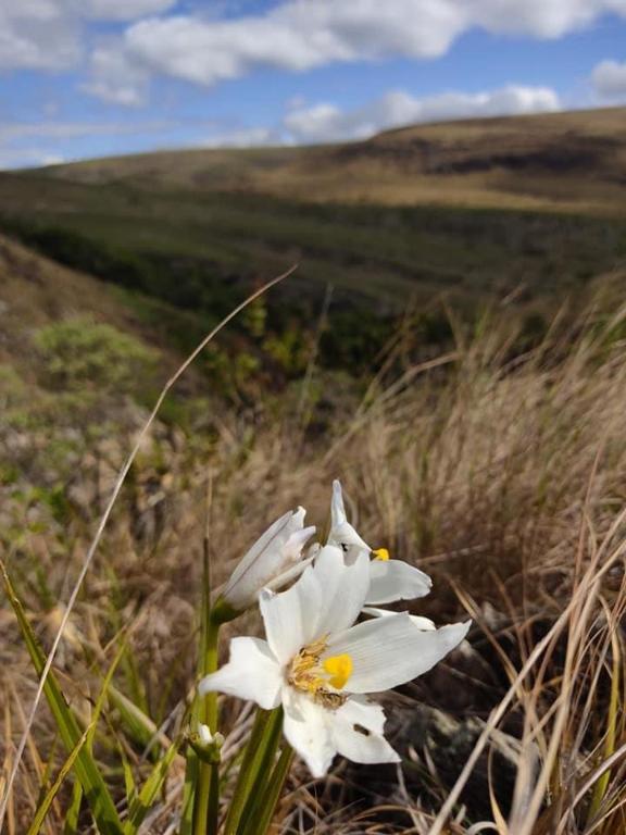  Studio família pontos turísticos