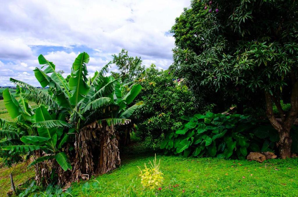  Studio família pontos turísticos