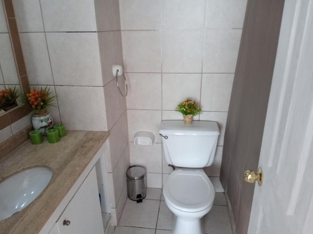 een kleine badkamer met een toilet en een wastafel bij Departamento Impecable in Santiago