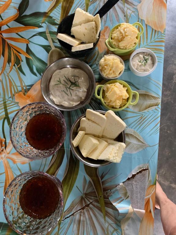  Studio família pontos turísticos