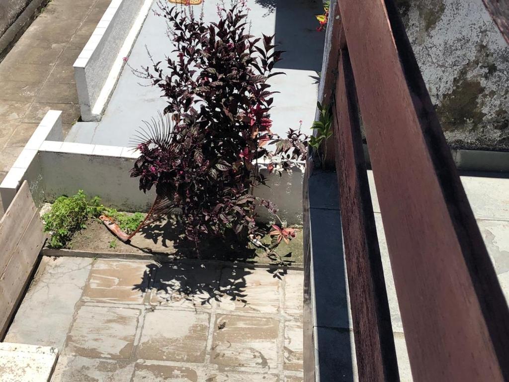  Casa da Prainha