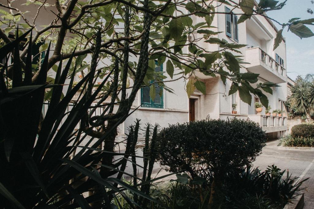 Giardino di Piazza Argento