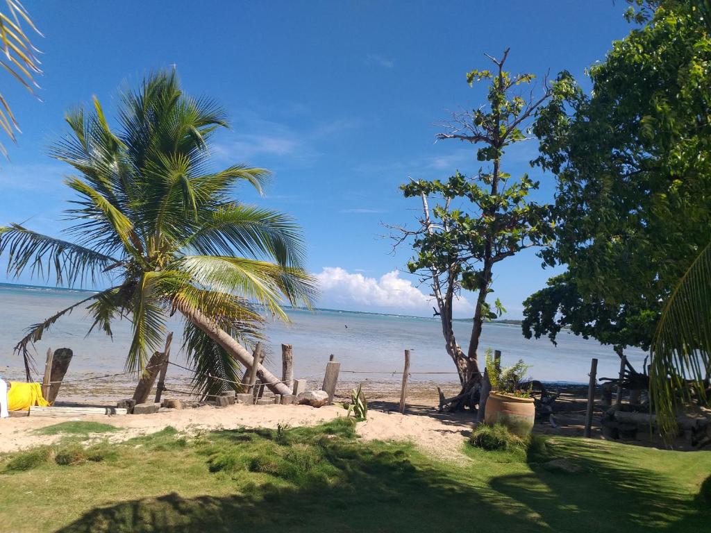  Flor da Ilha Flats
