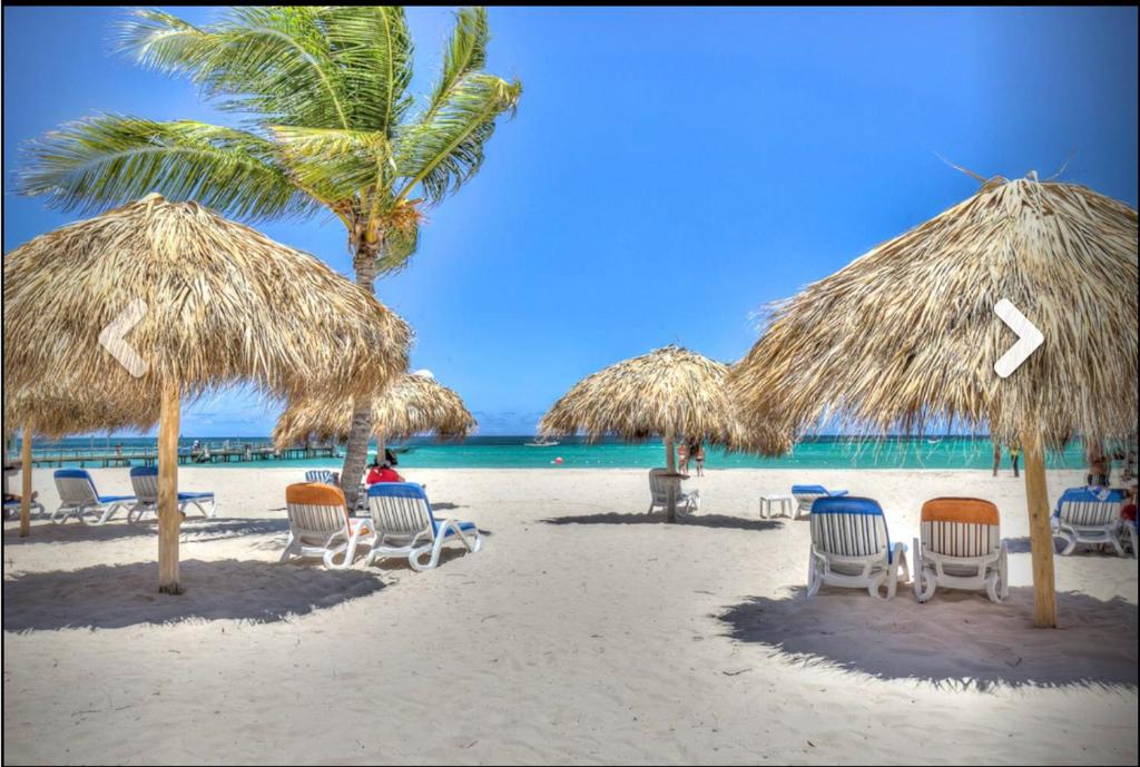 una playa con sillas y sombrillas de paja y el océano en Stanza Mare Beach Front, en Punta Cana