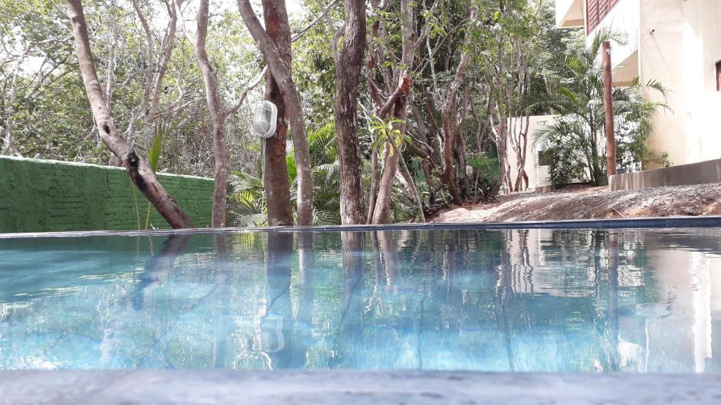  Bora Beach House