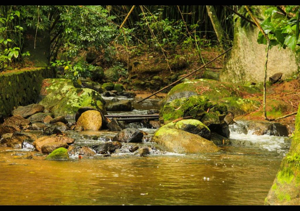  Chalezinho na Mata próximo à Cachoeira - Cocaia135