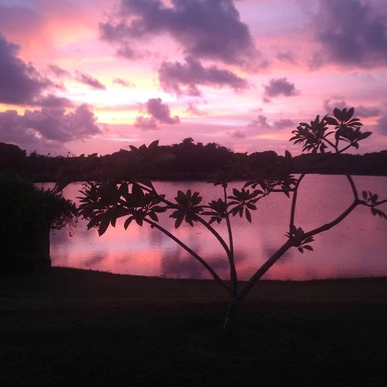  Fazenda Fiori Alagoas