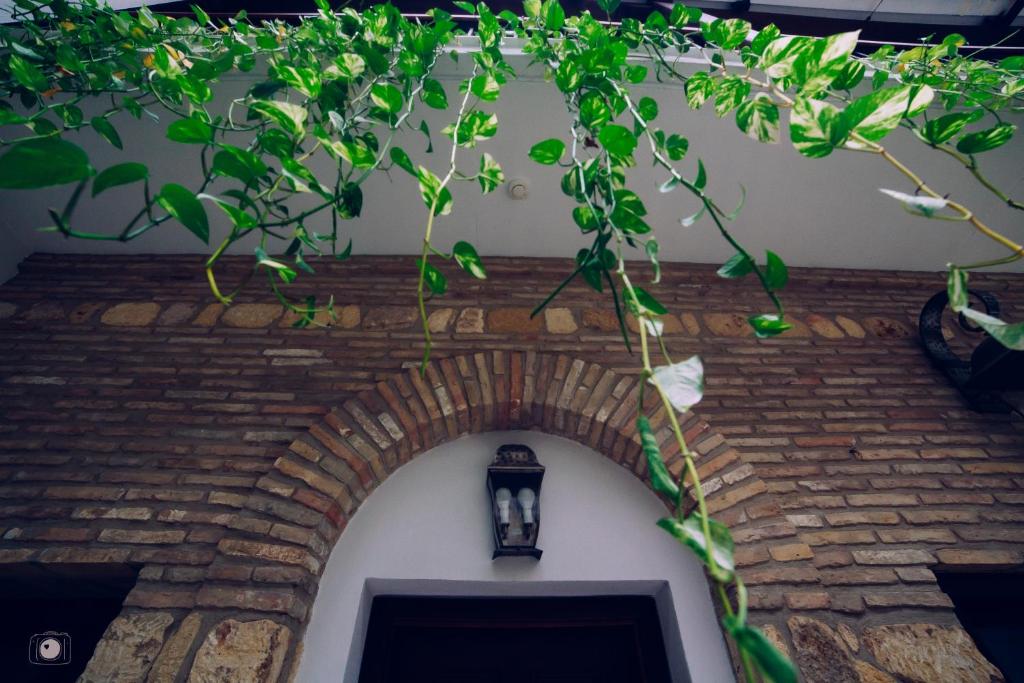 Hotel Posada de Vallina by MiRa - Resim 38