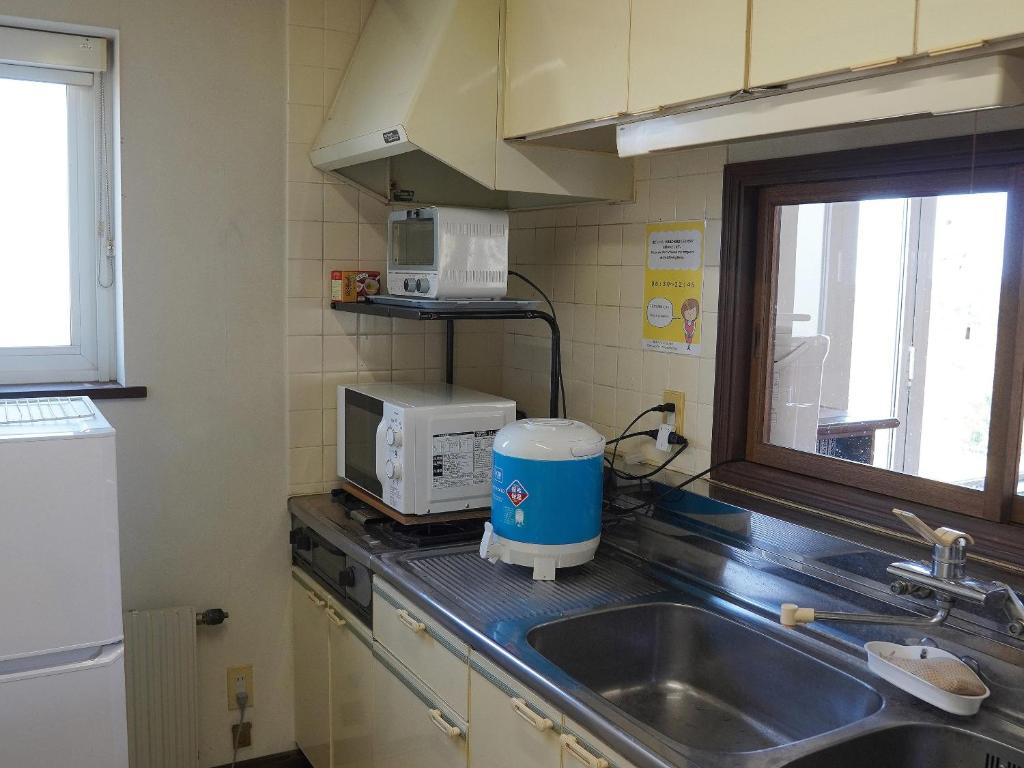 Kuchyň nebo kuchyňský kout v ubytování Kiyosato IHATOV Hostel