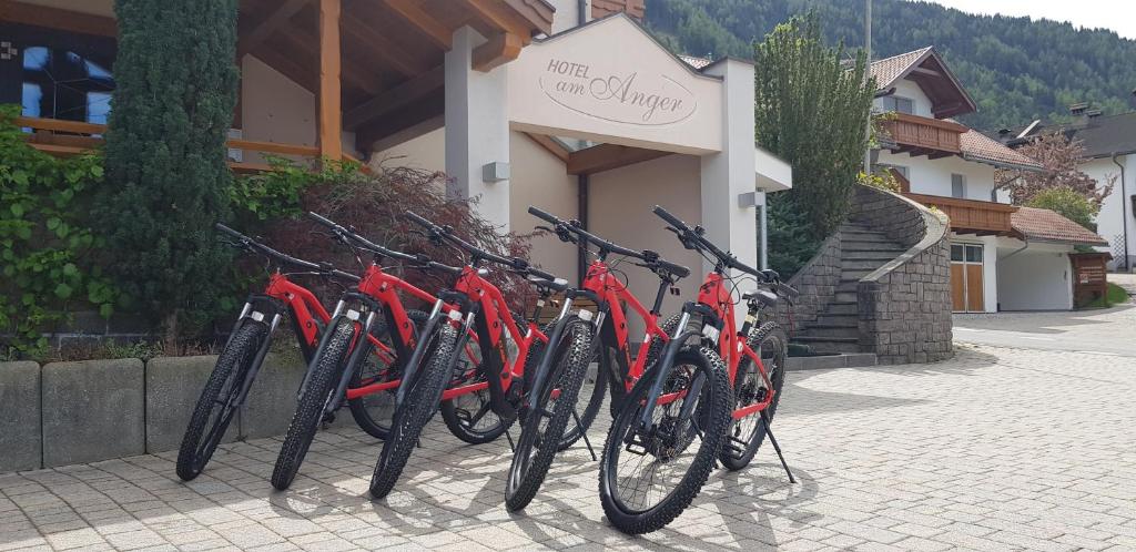 Jízda na kole v ubytování Hotel Am Anger nebo okolí